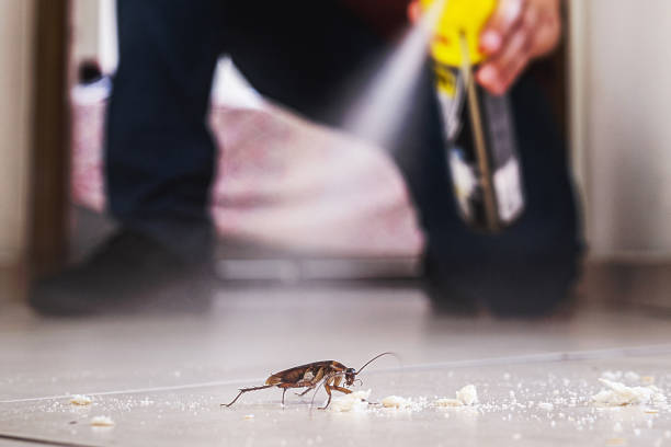 Best Commercial Pest Control Services  in Bryant, AR